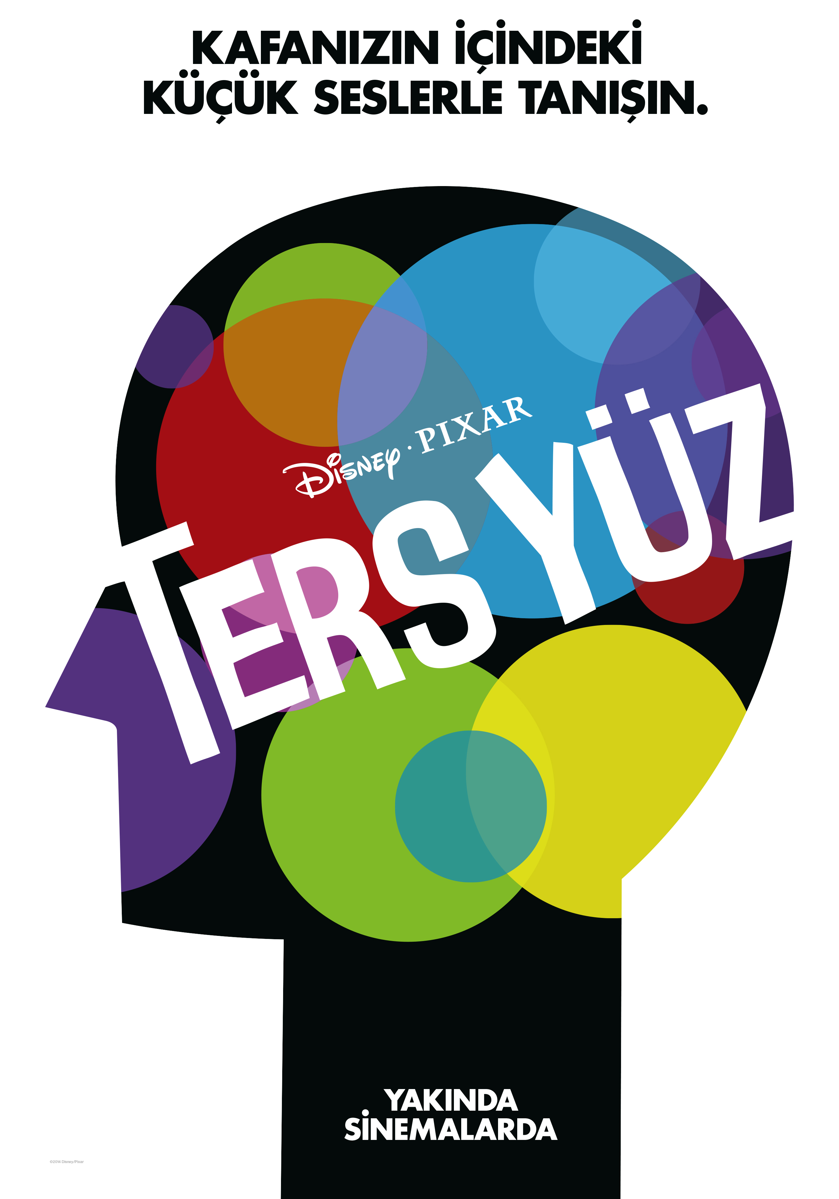 TERS YÜZ (INSIDE OUT)
